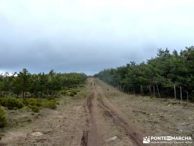 Somosierra,Acebos Montes Carpetanos; puente diciembre las hoces del duraton ambar viajes horcajo de 